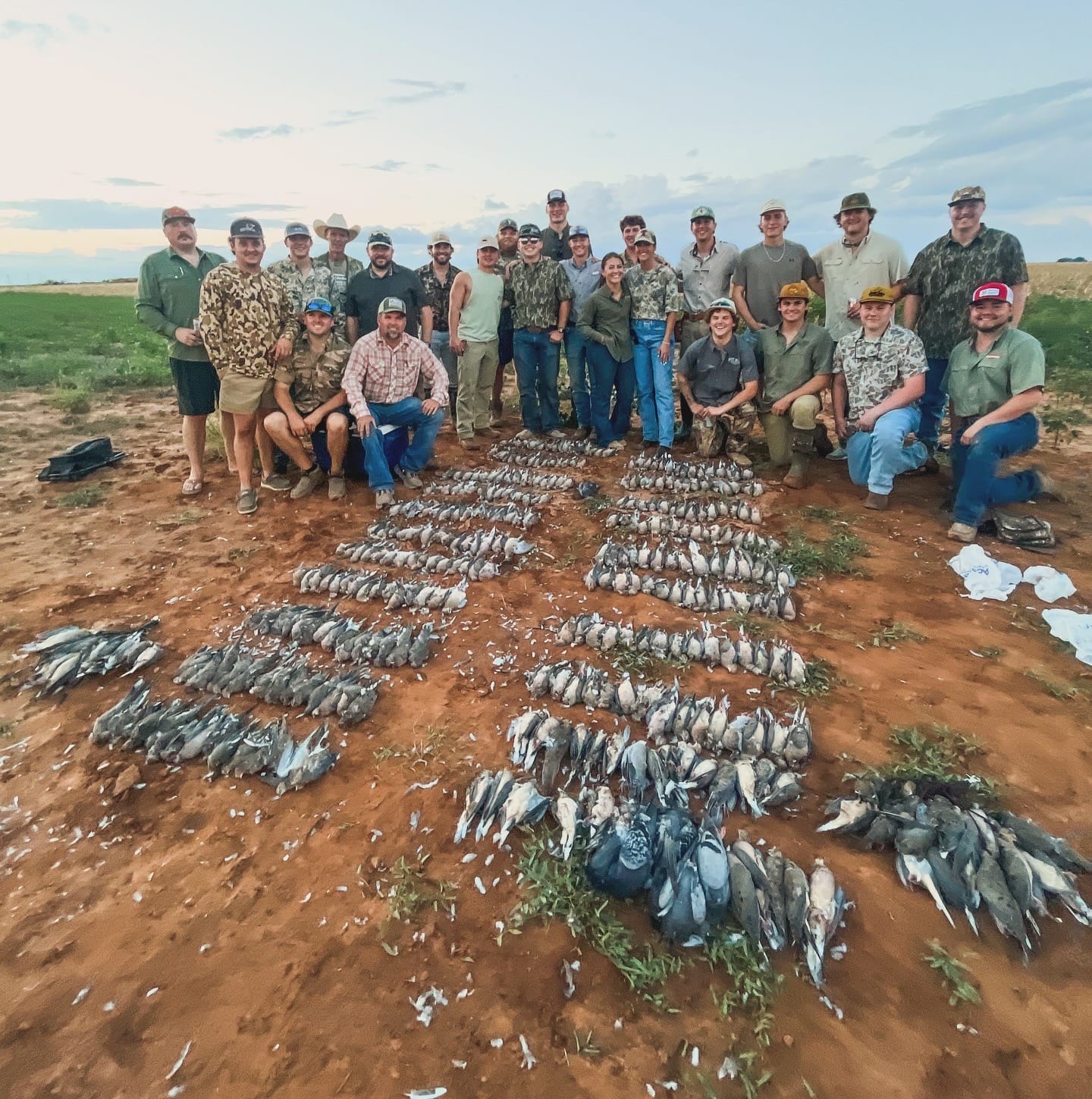 Dove hunt group ground