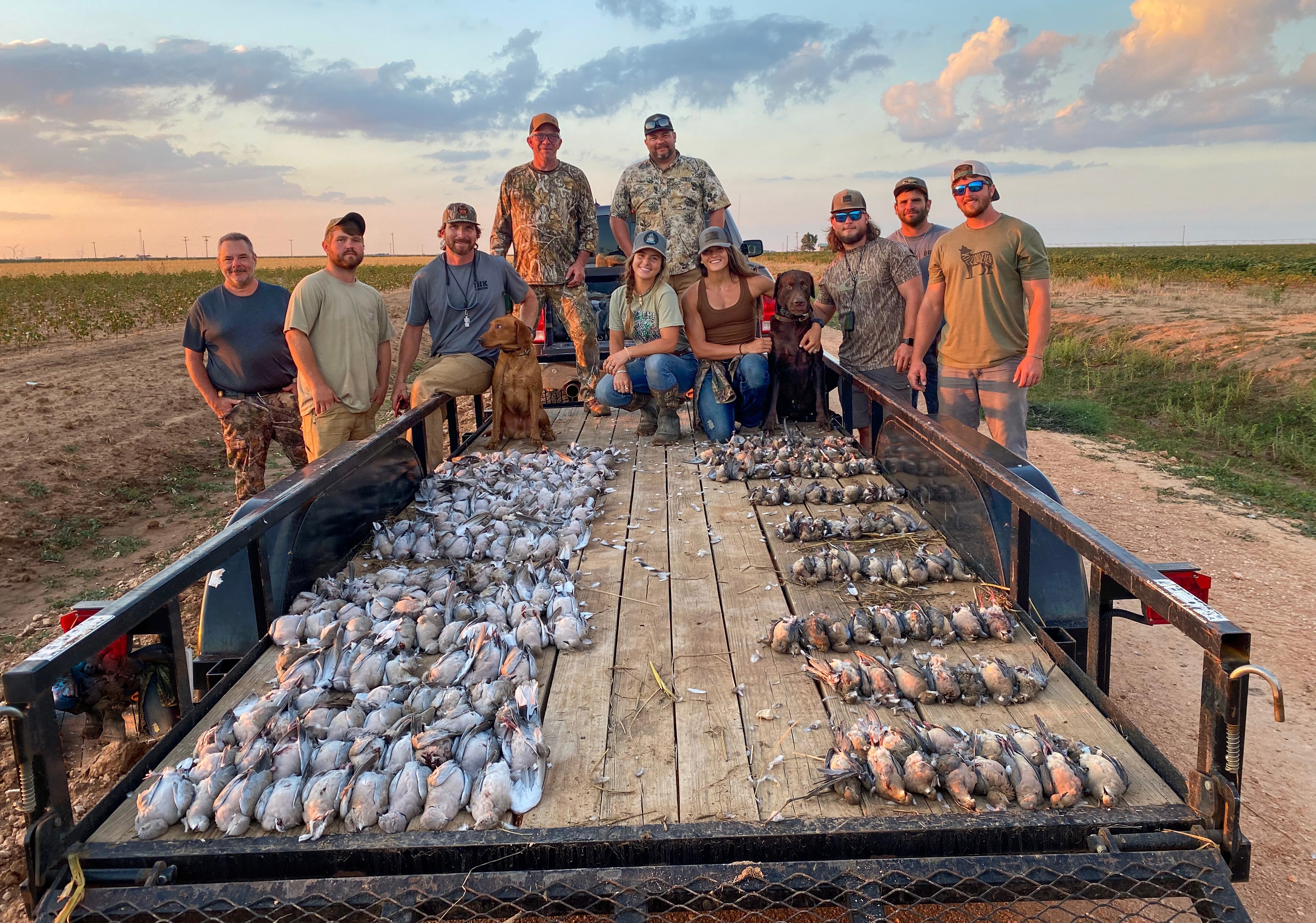 Dove Hunts