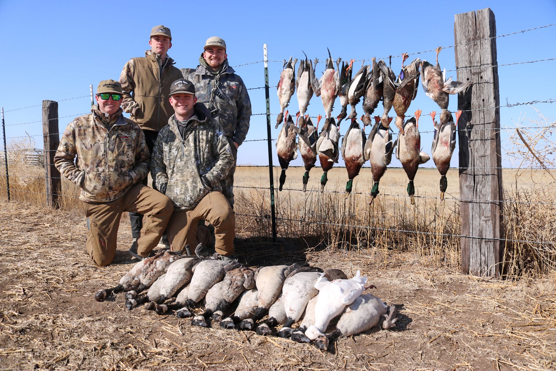 Goose hunt fence display