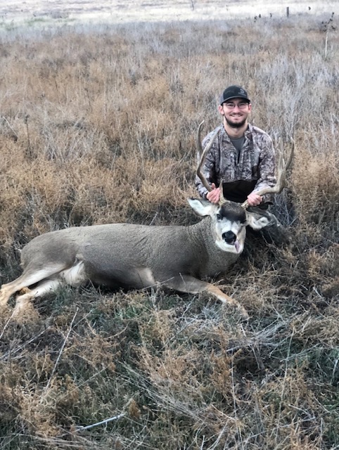 Mule deer hunt grass