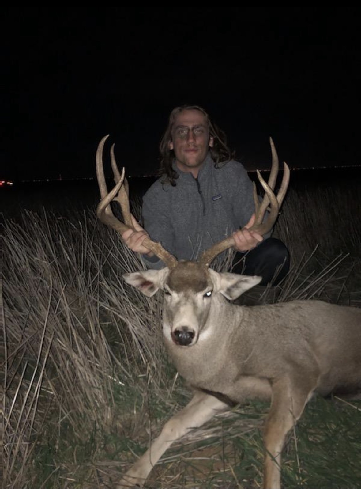 Mule deer hunt night