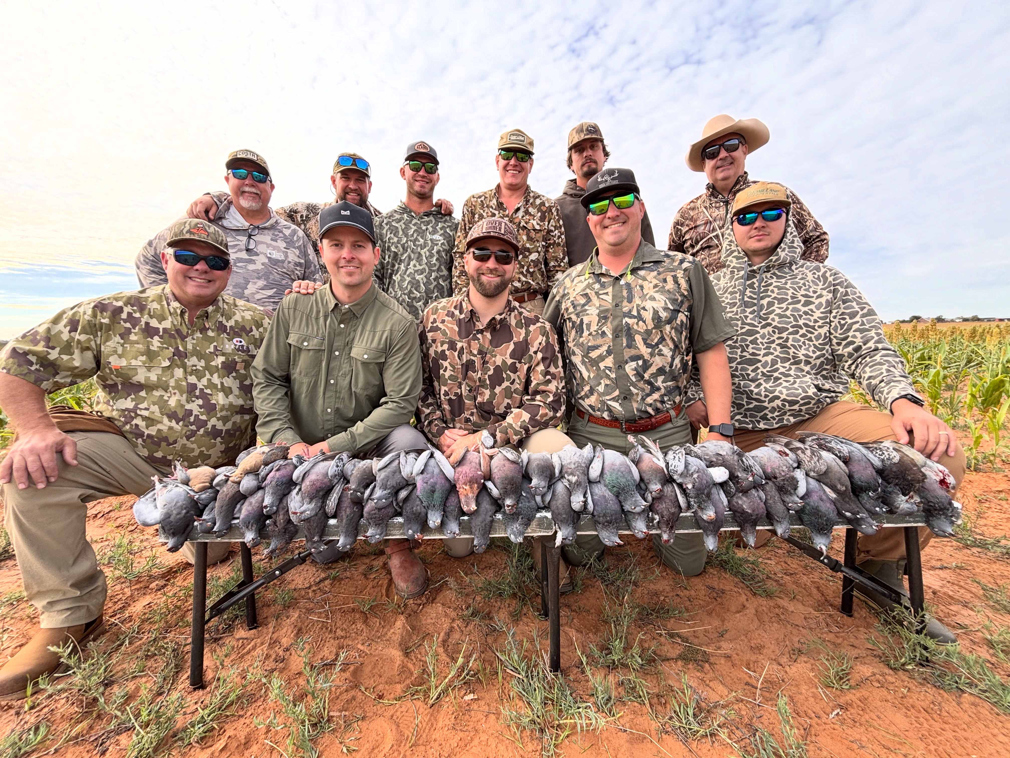 Pigeon hunt group large